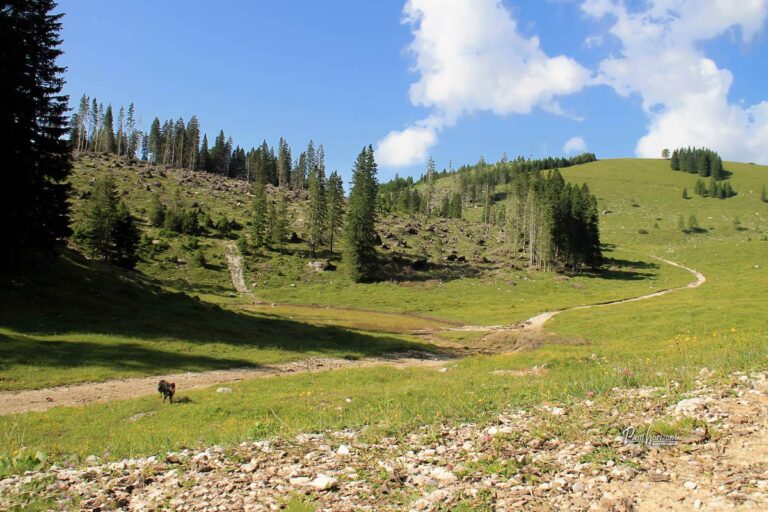 Pot s planine Pungart proti planini Šija