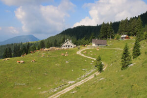 Taborniški dom na planini Šija