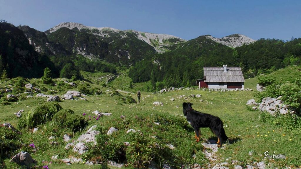 Planina Suha in pot proti Rodici