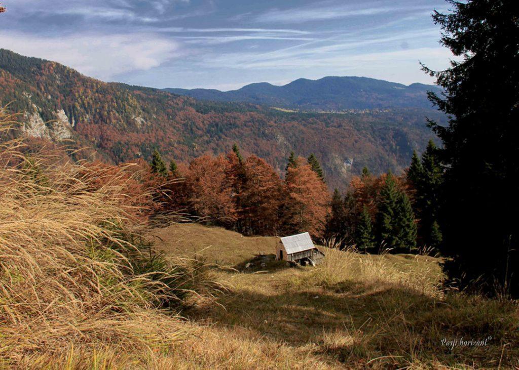 Koča na planini Spodnja Grintovica