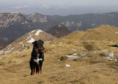 Porezen, pogled nazaj, Pasji horizont