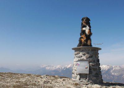 Porezen, vrh, Pasji horizont, plošča