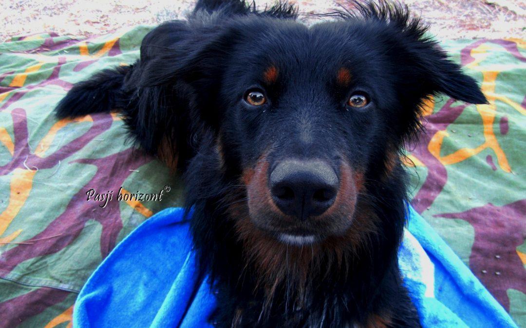 Premantura, 1. dopust, 2015