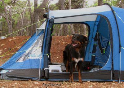 Pasji horizont, kampiranje v šotoru s psom