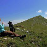 Pasji pogovor na travniku med postankom proti Rodici