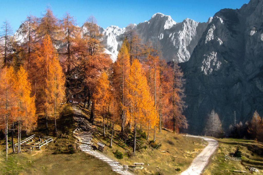 Erjavčeva koča na Vršiču med oranžnimi macesni, Julijske Alpe