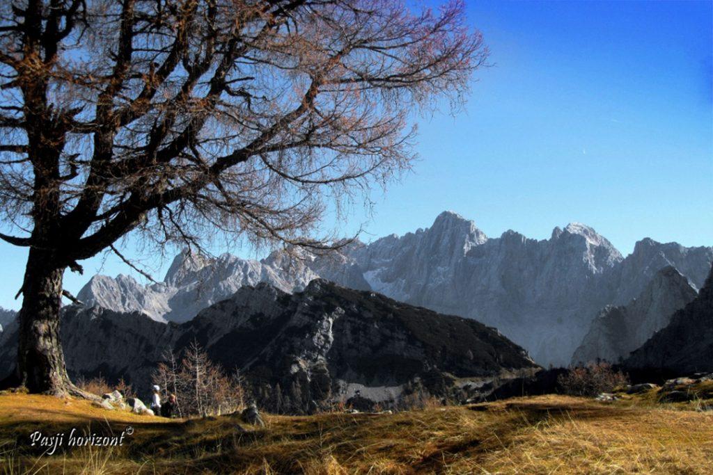 Jesenski macesni in razgled na Mojstrovke s Slemenove špice