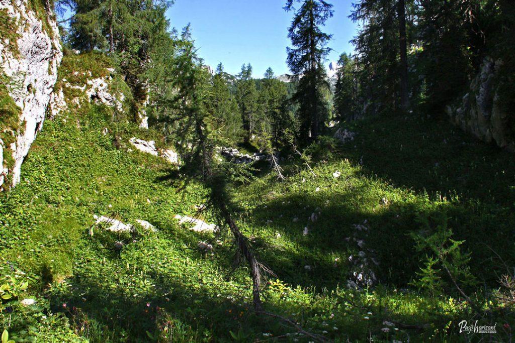 Planinska pot proti Štapcam