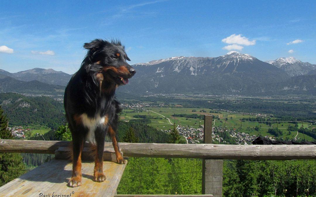 Talež, lovska koča