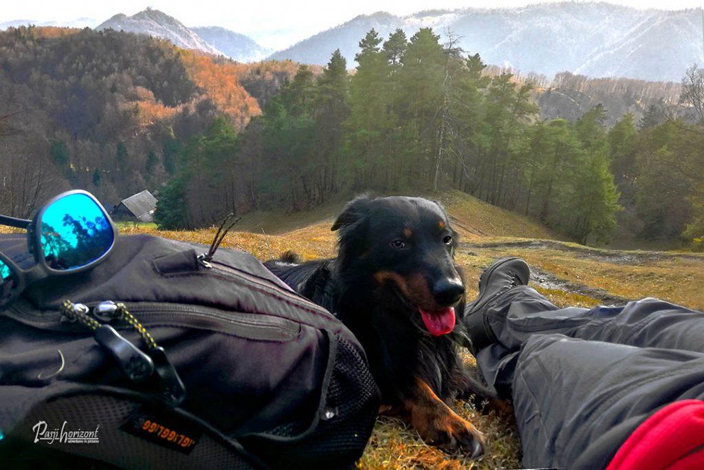 Počitek s psom med pohodom na Tošč