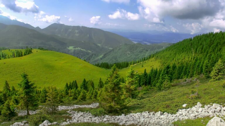 Pogled navzdol na pašnike pod Velikim Kladivom