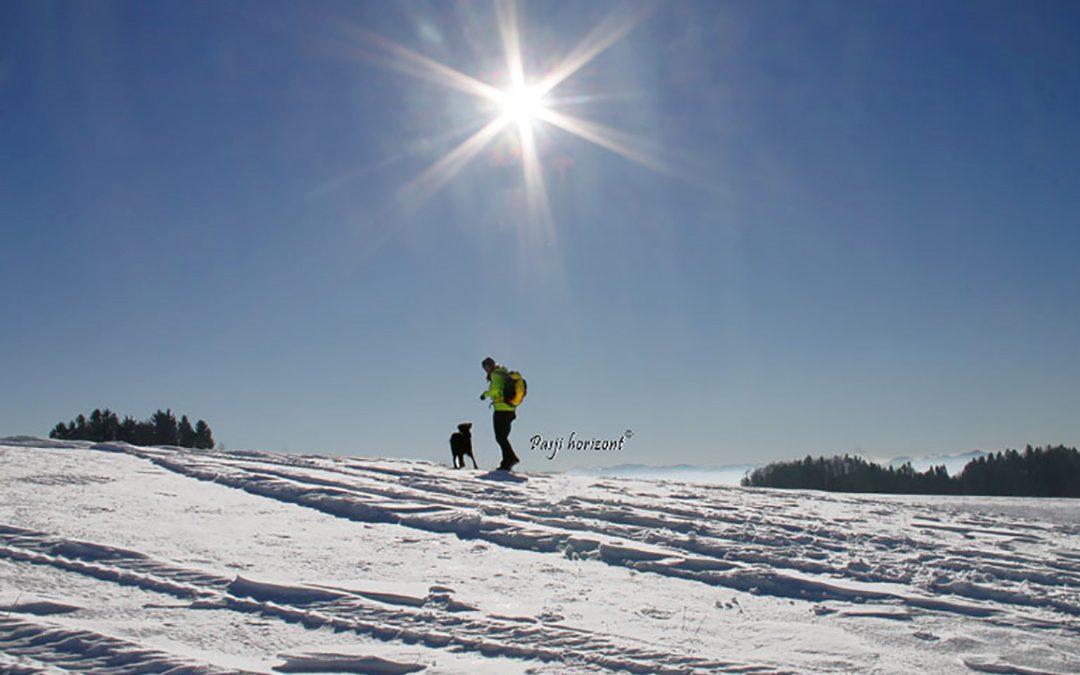 Mrzli vrh (Loncmanova Sivka)