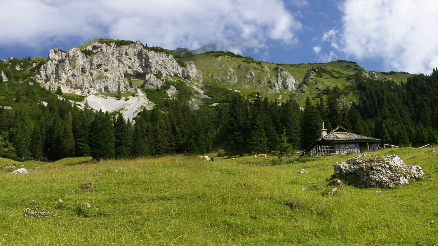 Pastirska koča na Planini Ilovica
