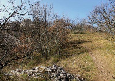 Kraski rob, Sočerga