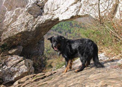 Naravni most Sočerga, Spodmoli