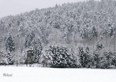 Pasji horoizont, Corona sprehodi