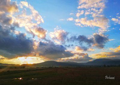 Pasji horoizont, Corona sprehodi