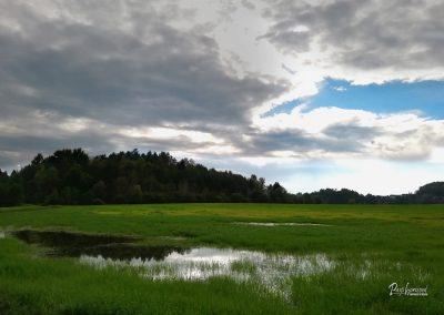 Pasji horoizont, Corona sprehodi