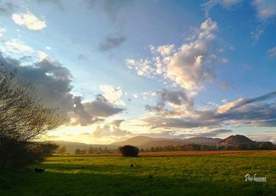 Pasji horoizont, Corona sprehodi