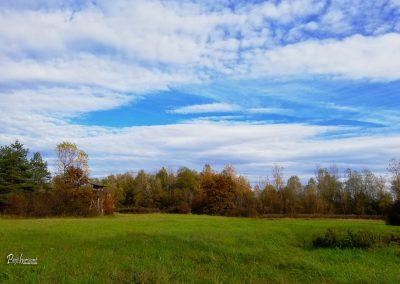 Pasji horoizont, Corona sprehodi