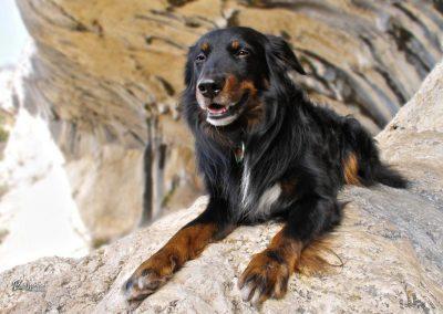 Ušesa Istre, Spodmoli Veli Badin