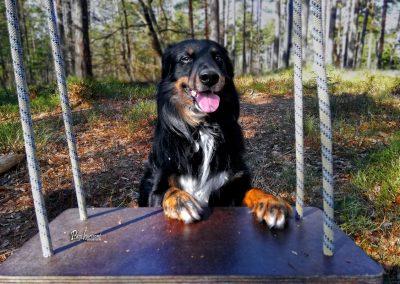 Debeli vrh (Koseško hrib), Topole, gugalnica