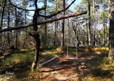 Debeli vrh (Koseško hrib), Topole, gugalnica