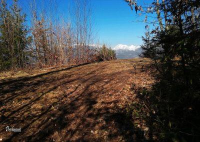 Koseški hrib, razglednik