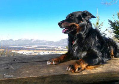 Koseški hrib, razgled, Komenda