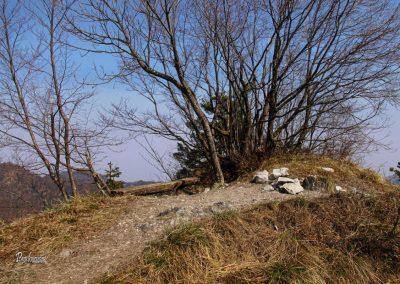 Mala Polhograjska Grmada