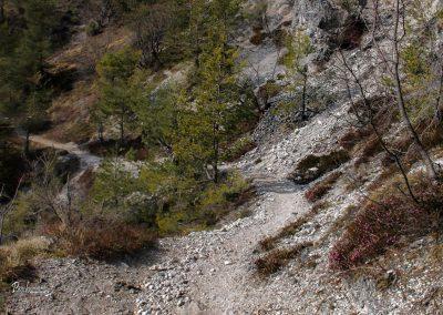 Polhograjska Grmada, melišče