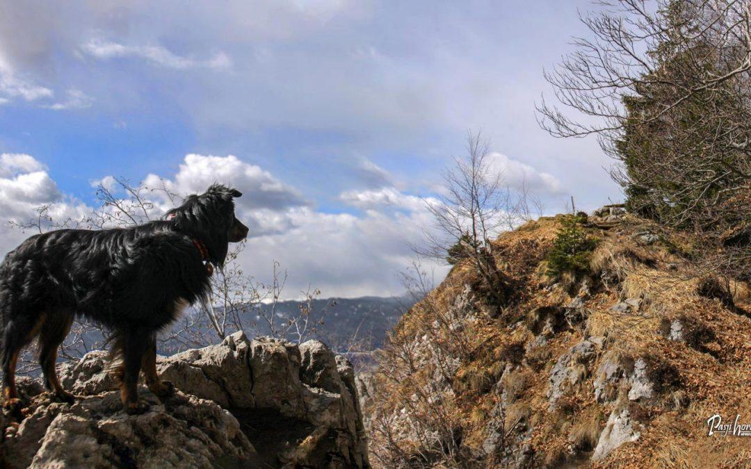 Smokuški vrh – krožna čez Sankaško kočo in sv. Petra – gpx
