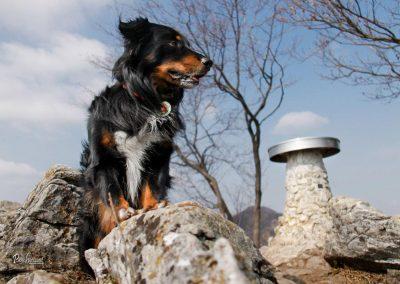 Polhograjska Grmada, vrh, razgledna plošča, Pasji horizont