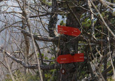 Polhograjska Grmada, markacije