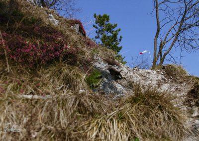 Polhograjska Grmada, vrh