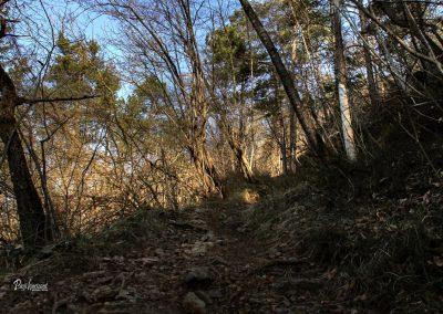 Polhov Gradec, pot na na Polhograjsko Grmado