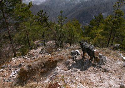 Polhograjska Grmada, spust