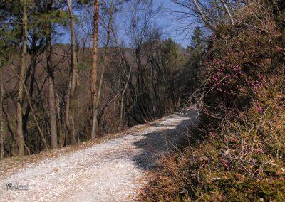 Del poti na Sveto Uršulo, cesta