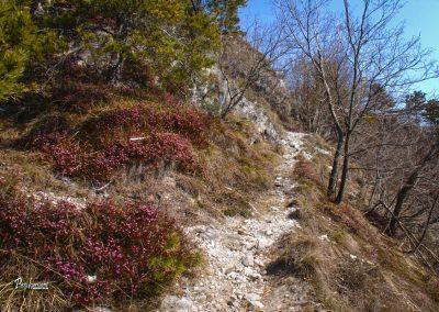 Vzpon na Malo Polhograjsk Grmado