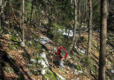 Lubik, skozi gozd do vraha