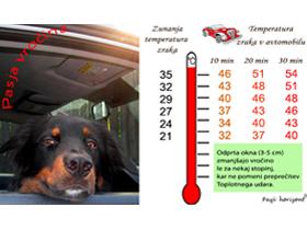 Toplotni udar, pes