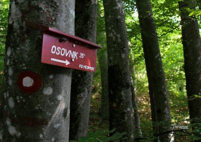 Smerokaz za Osovnik iz doma na Govejku