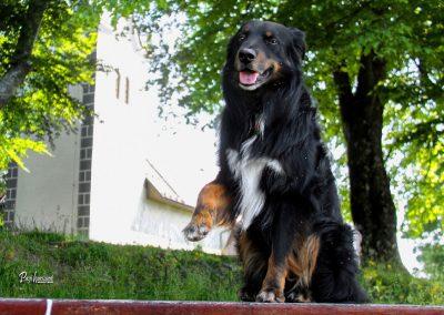 Cerkev Osolnik, Pasji horizont