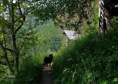 Jamnik, povratek mimo kozolca na Nemilje