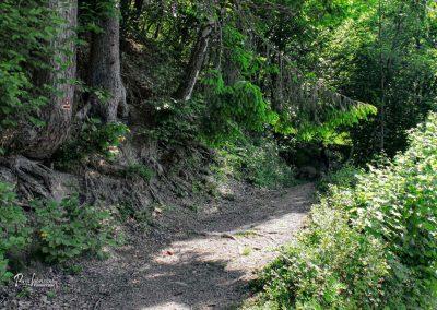 Sveti Primož in Felicijan, Jamnik, ovinek, pot iz Nemilj