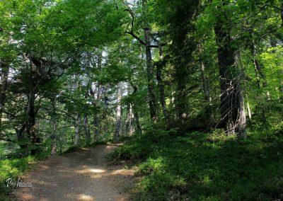 Sveti Primož in Felicijan, Jamnik, pot iz Nemilj
