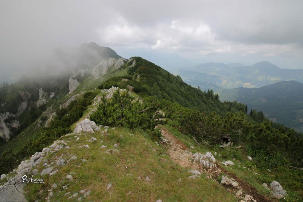 Travnat greben Olševe