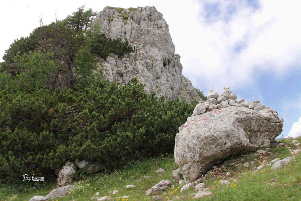 Smerni kamen na Olševi z razgledom