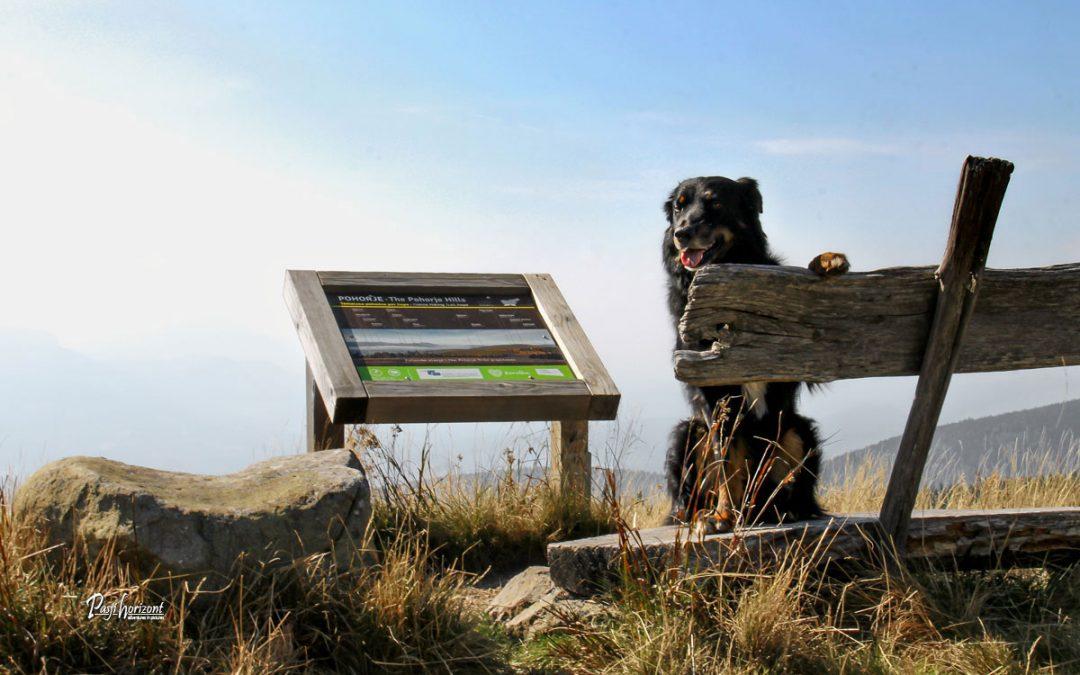 Črni vrh, Ribniško Pohorje – gpx