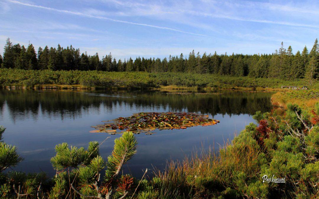 Ribniško jezero in Lovrenška jezera (Ribniška koča, Jezerski vrh) – gpx